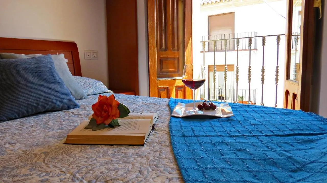 Via Alfaros Apartment Cordoba Spain